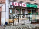 Розовый Бутон (Avtozavodskiy City District, zhiloy rayon Sotsgorod, 1st Sotsgorod Microdistrict, Oktyabrya Avenue, 13) ، محل زهور
