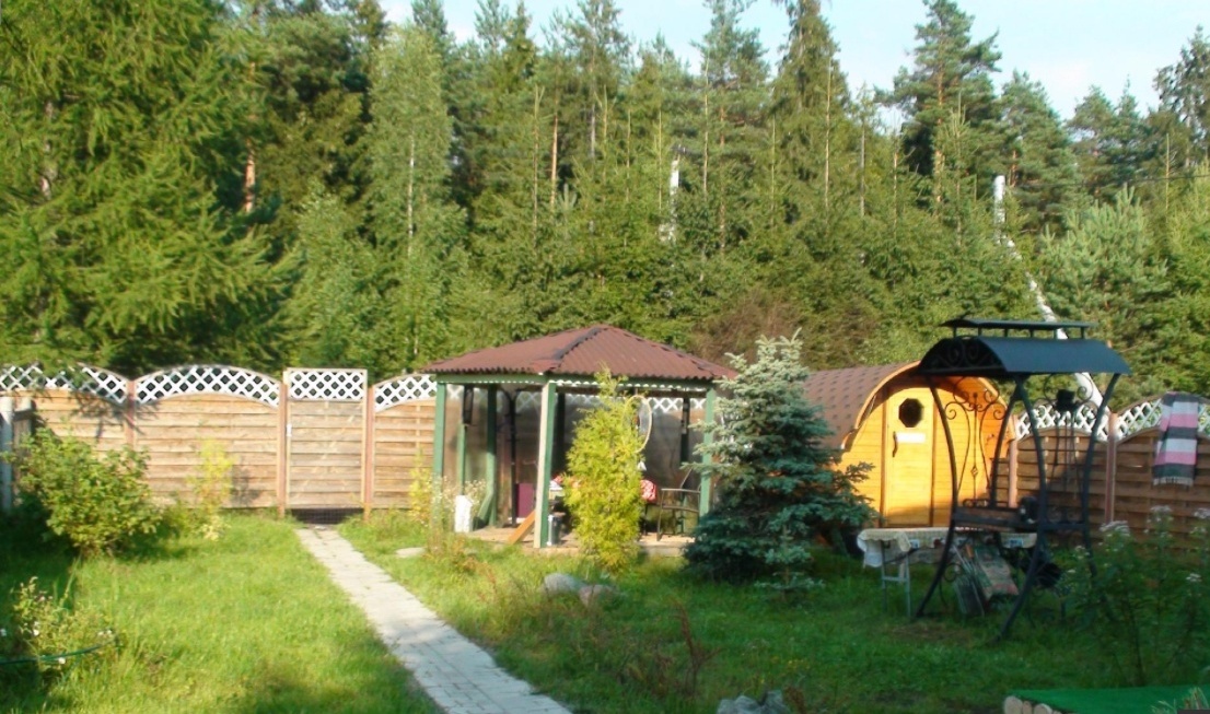 Фото Викинг