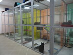 Kot-Yort (Mendeleyeva Street, 134А), pet hotel