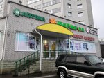 Parikmakherskaya Stil (5-ya Zapadnaya ulitsa, 67), hairdresser