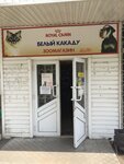 Bely kakadu (1st Microdistrict, Korolyova Street, 8) ، متجر للحيوانات الأليفة