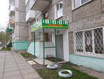 Shakhmatny klub Mbu tsentr sportivnykh sooruzheny (ulitsa Ryumina, 19) ، نادي رياضي، مجموعة