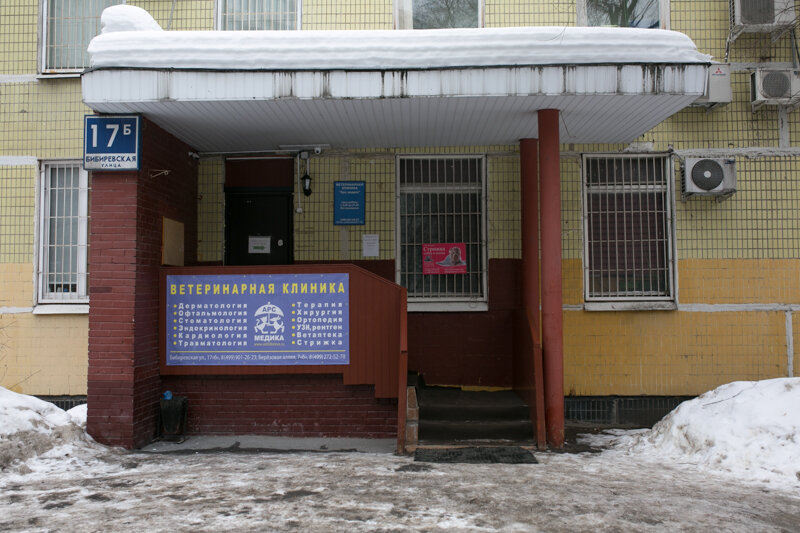 Veterinary clinic Ars medika, Moscow, photo