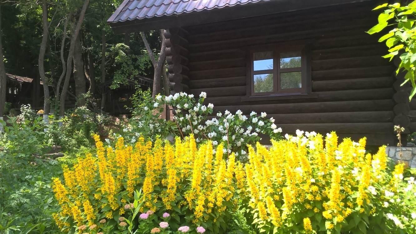 Фото Хутор Калина Красная