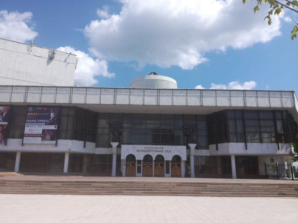 Воронежский концертный зал театральная ул 17 фото