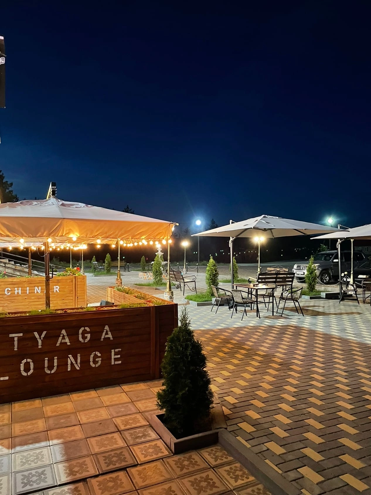 Фото Гостиница Чинар