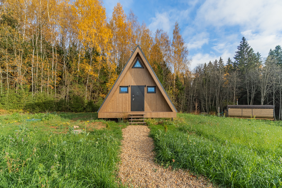 Фото Pine Forest