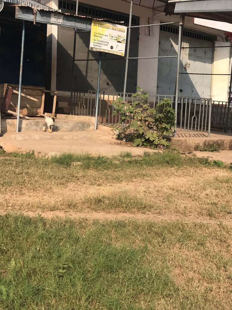 Paintwork materials De correct ventures, Earth, photo