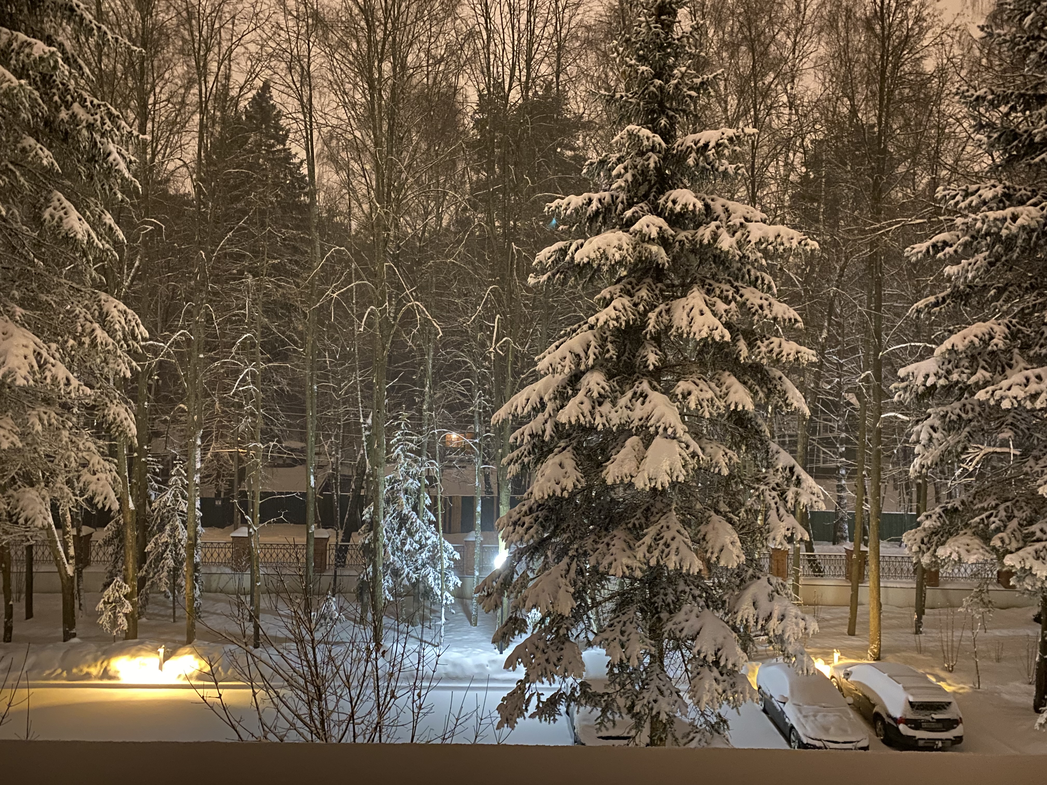 Фото Резиденция Переделкино