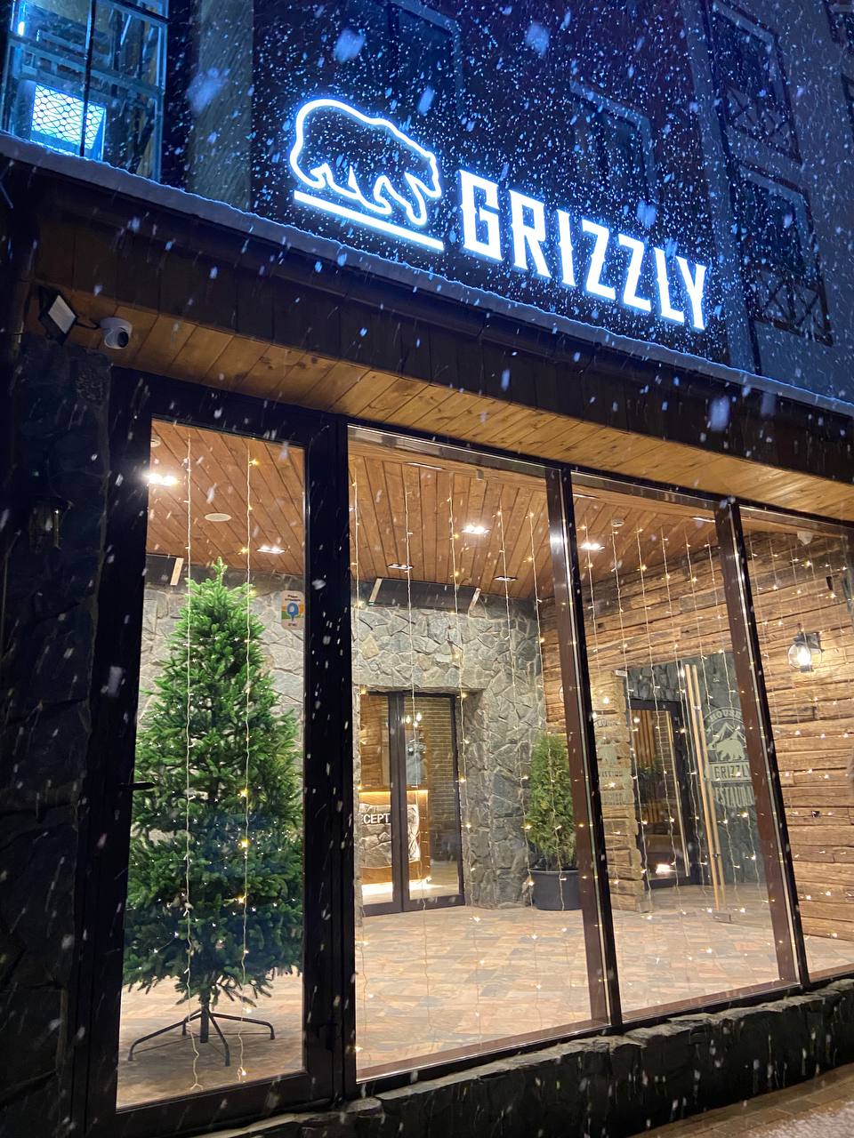 Фото Гризли