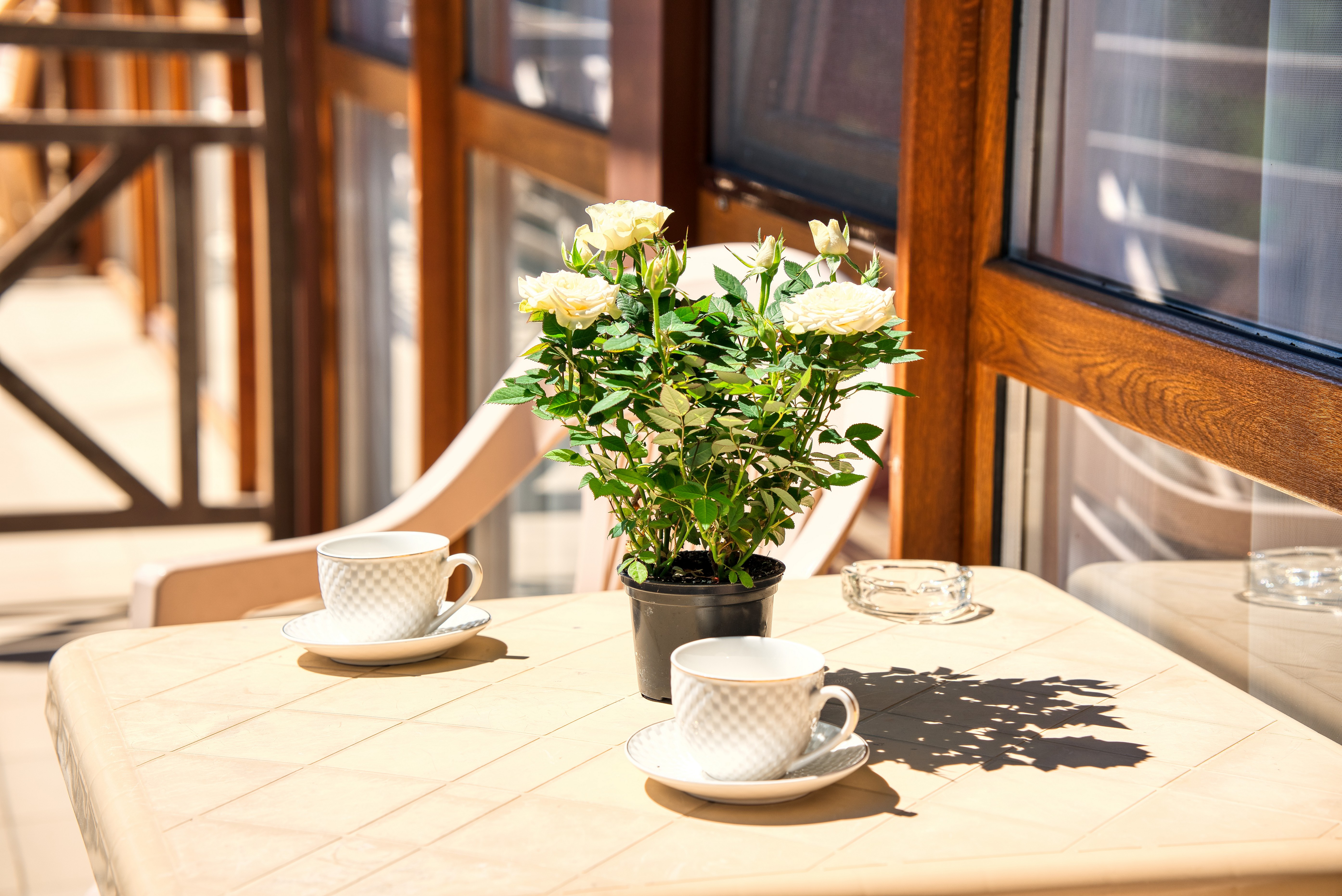 Фото Грин Клаб