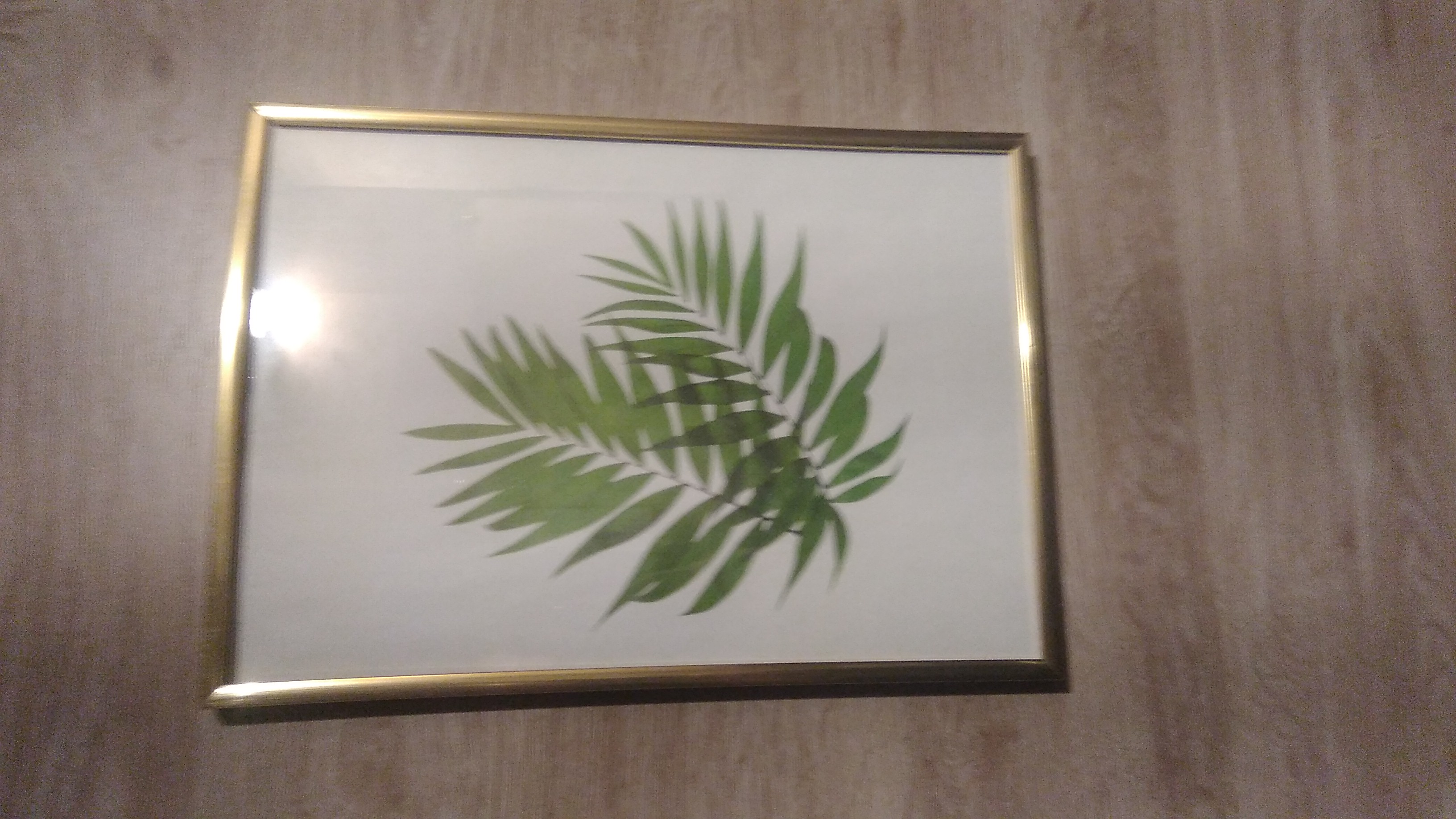 Фото Shelterz Электрозаводская