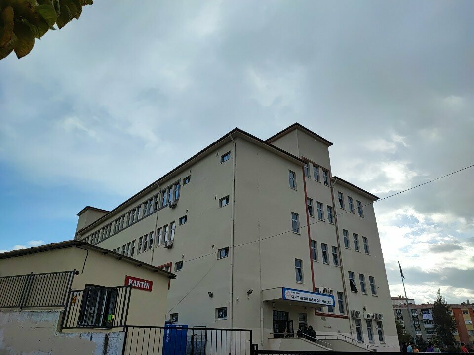 School Martyr Mesut Tasar Middle School, Izmir, photo