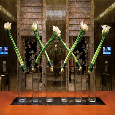 Фото Courtyard by Marriott Shanghai Xujiahui