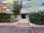 Lawyer Tuna Temizgil (Ankara Province, Cankaya District, Kuloğlu Sok., 14) ، محامي