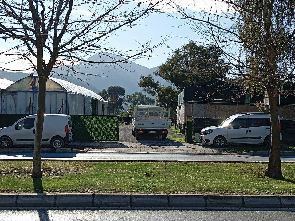 Greenhouse Mokan Grubu, Izmir, photo