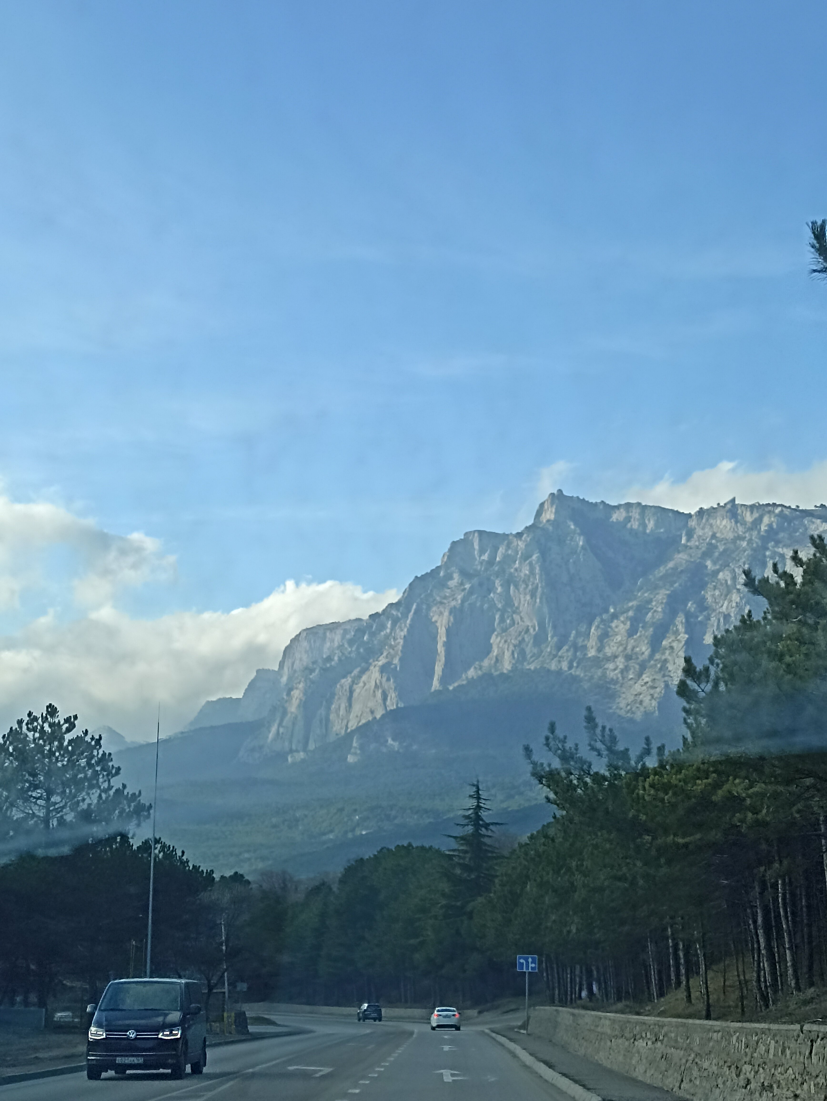 Фото Лесная Сказка