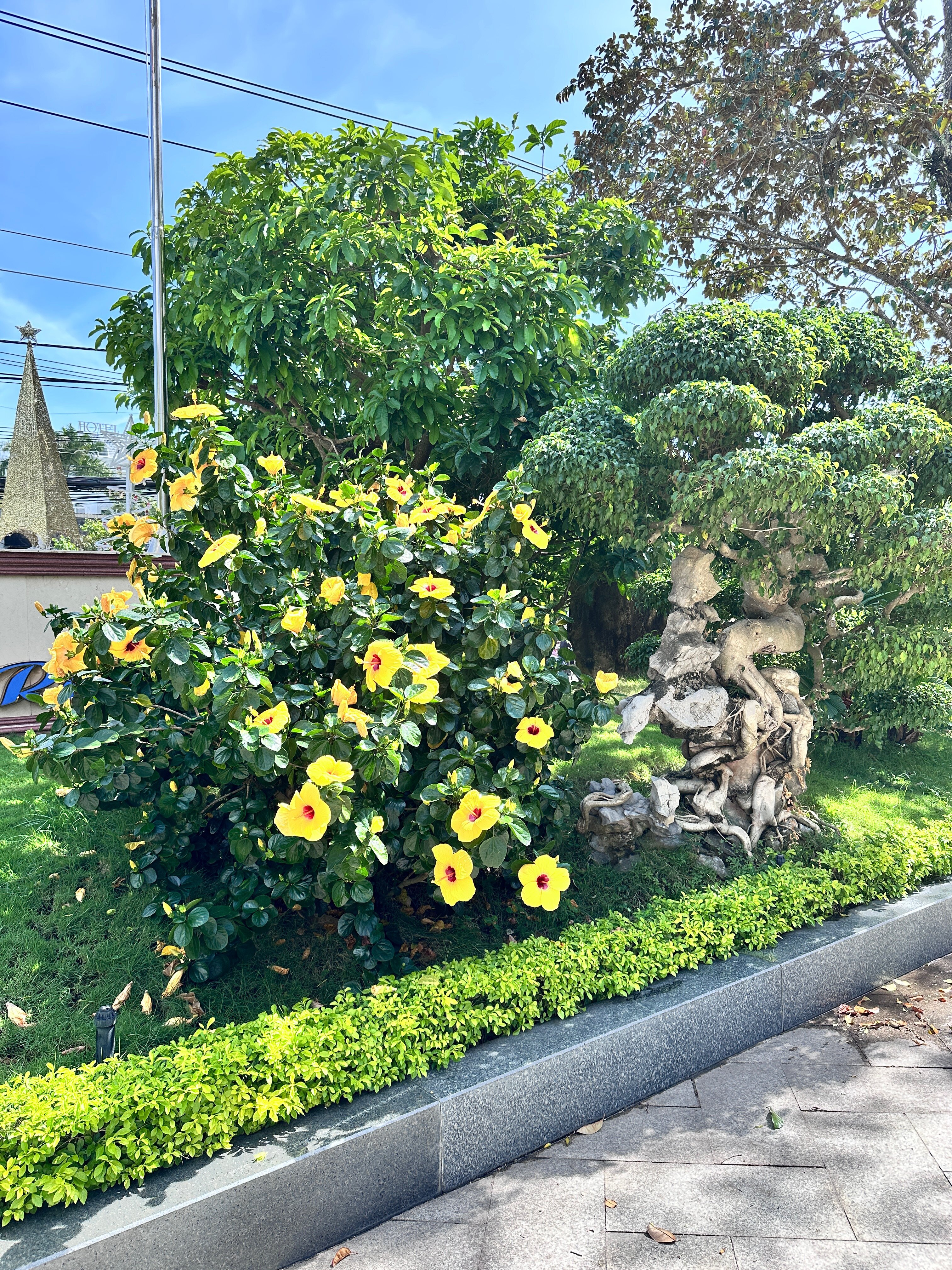 Фото Thien Thanh Phu Quoc Resort