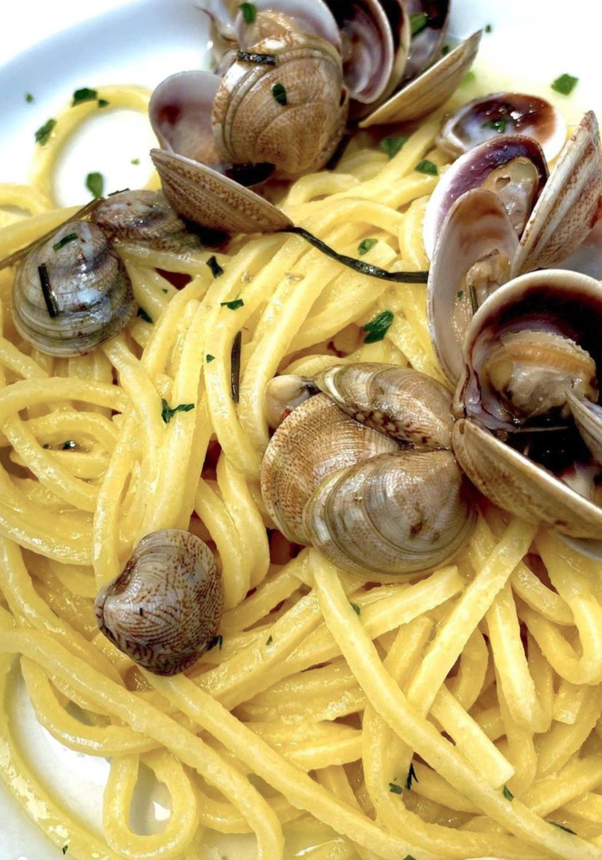 Фото Hotel Little