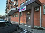 Pro Lingua (ulitsa Gastello, 73В), cursos de idiomas extranjeros