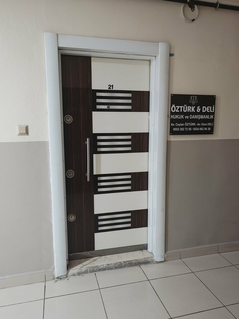 Attorney Ceylan Ozturk, Istanbul, photo