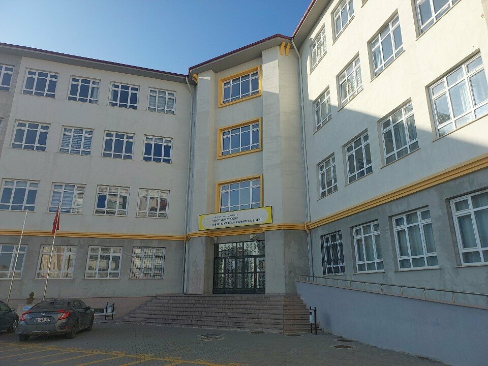 School Martyr Murat Ucoz Vocational and Technical Anatolian High School, Ankara, photo