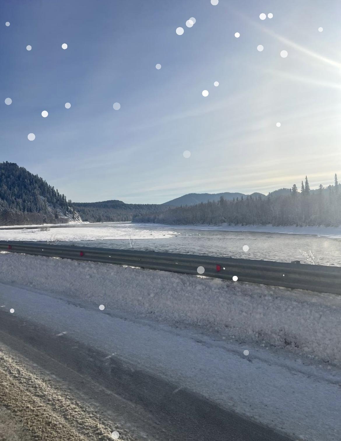 Фото Гостевой дом Еловый