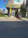 Ozcan Ceylan Automotive & Spare Parts (Izmir, Bornova, Ankara Avenue, 42), auto parts and auto goods store