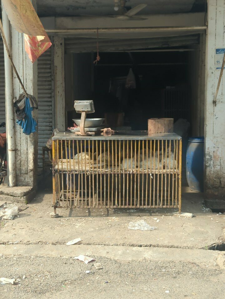Egg and poultry meat Bismillah chicken sales Center, Lahore, photo