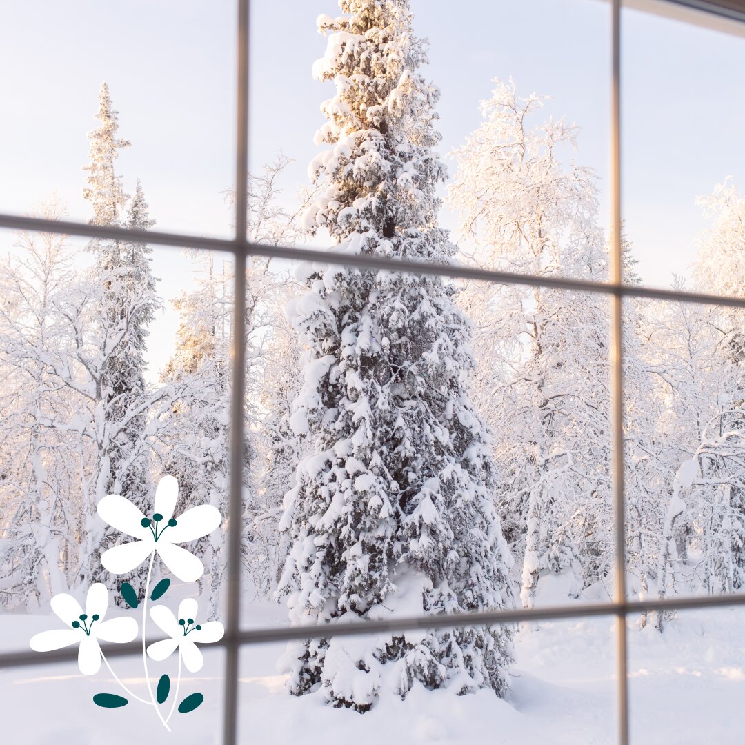 Фото Хаски Кэмп