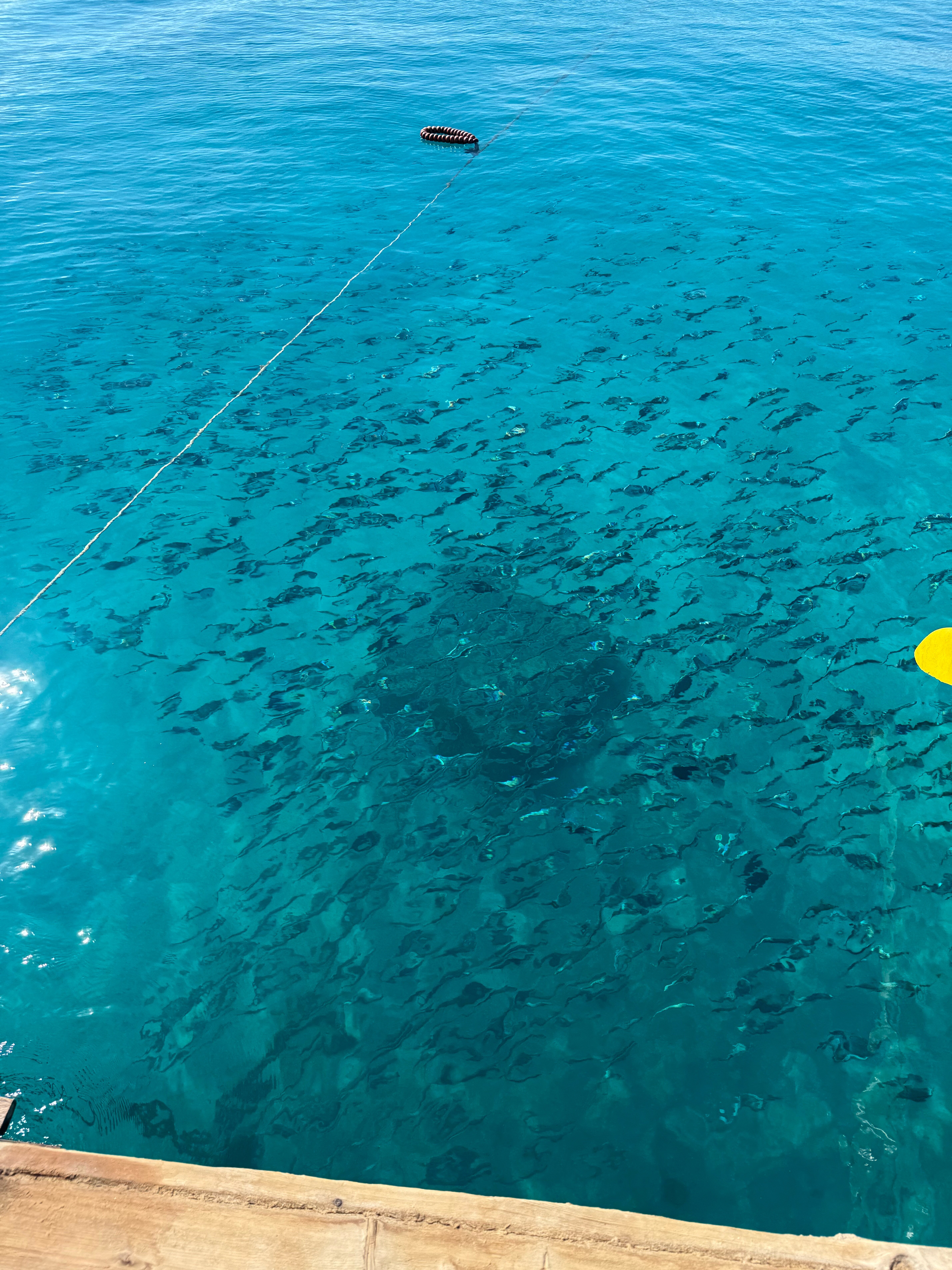 Фото Elysees Dream Beach Hotel