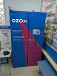 Ozon (Uritskogo Street, 25), parcel automat