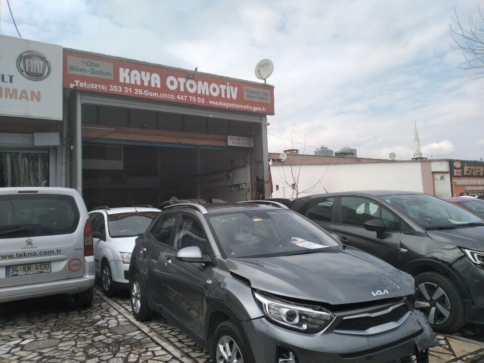 وكيل بيع سيارات مستعملة Kaya Otomotiv ، اسطنبول، صورة