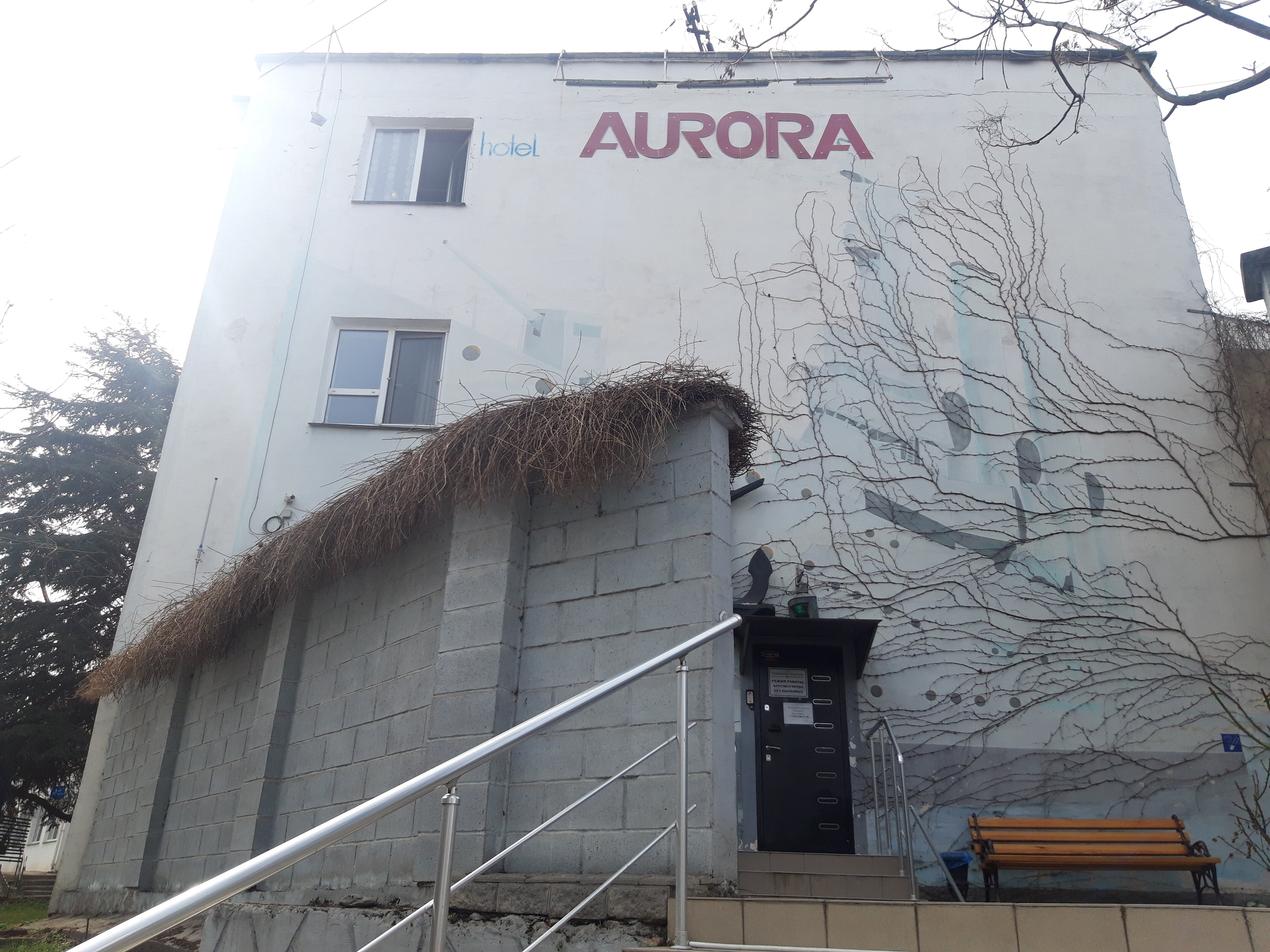 Фото Аврора