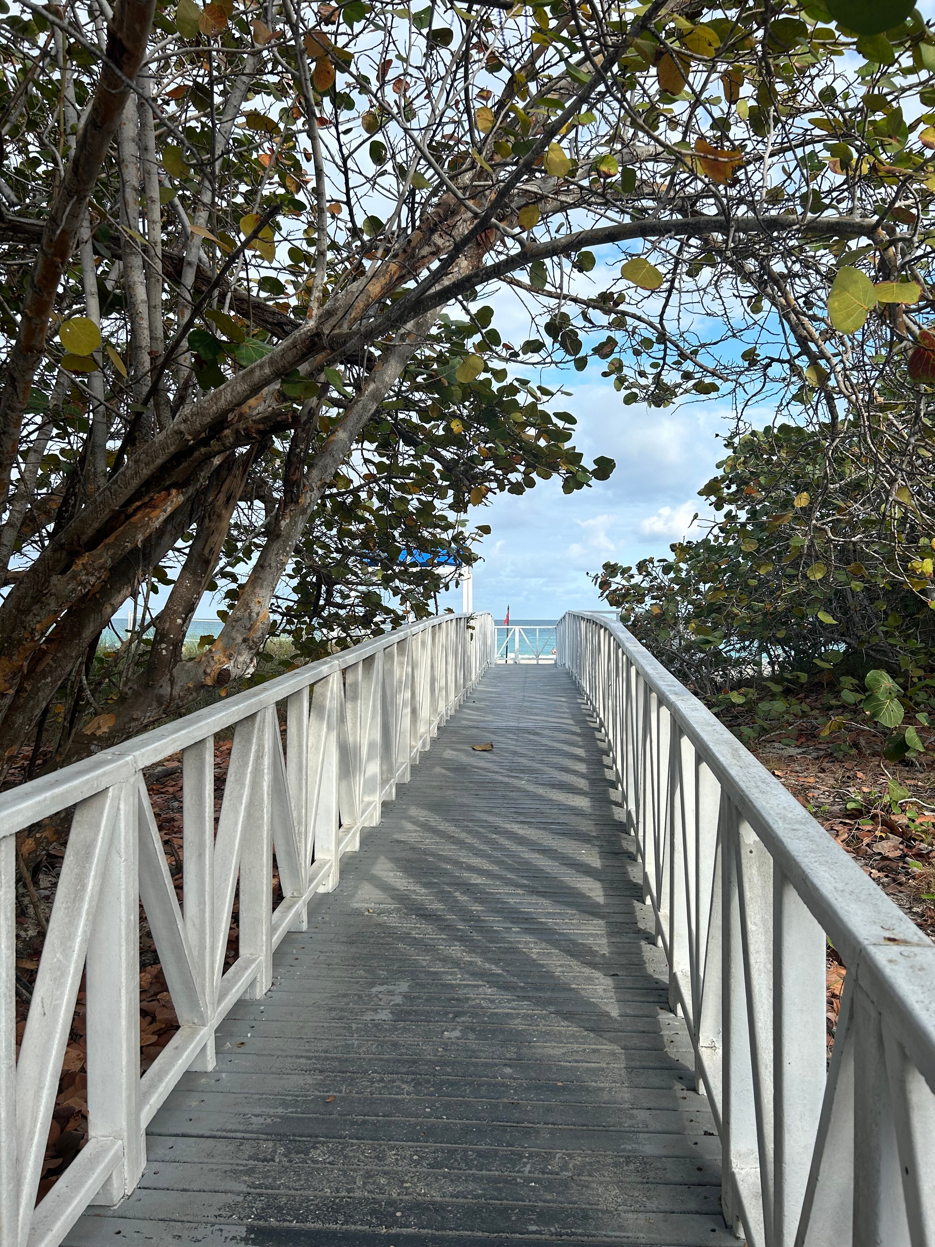 Фото Brisas del Caribe