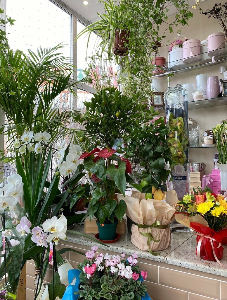 Floristeria Мир цветов, , foto