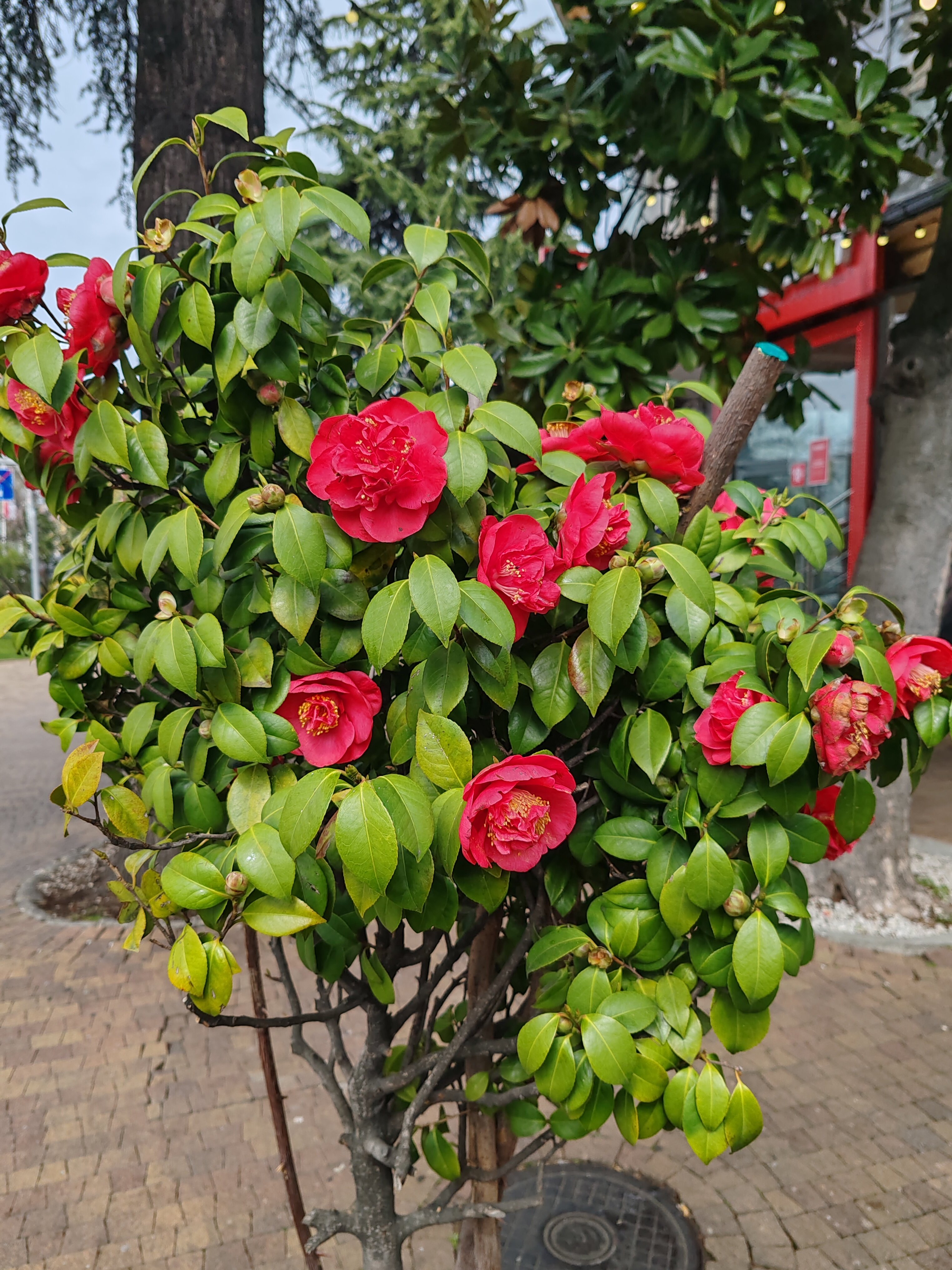 Фото Неолит Парк Горького