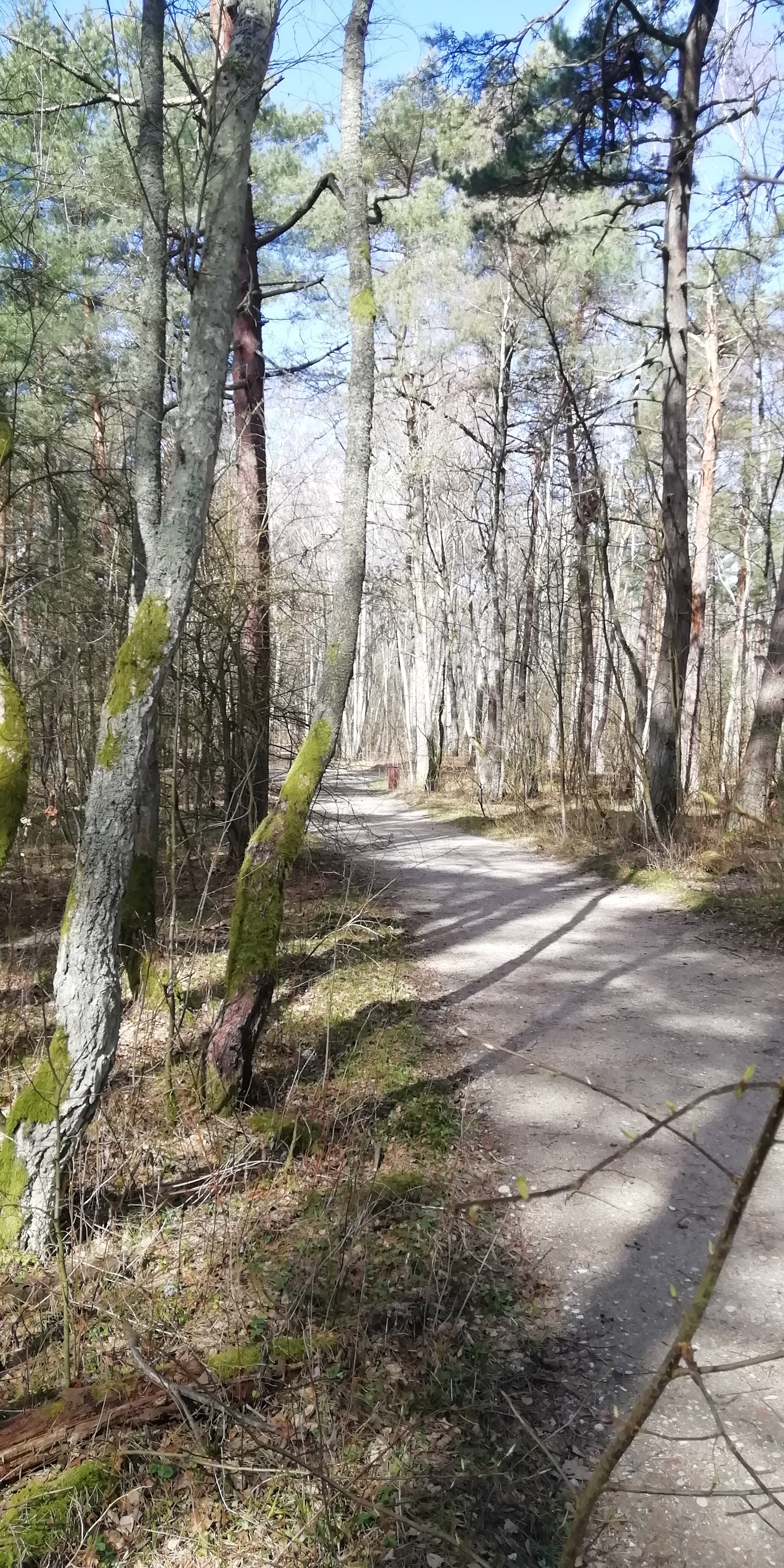 Фото Дом поэта