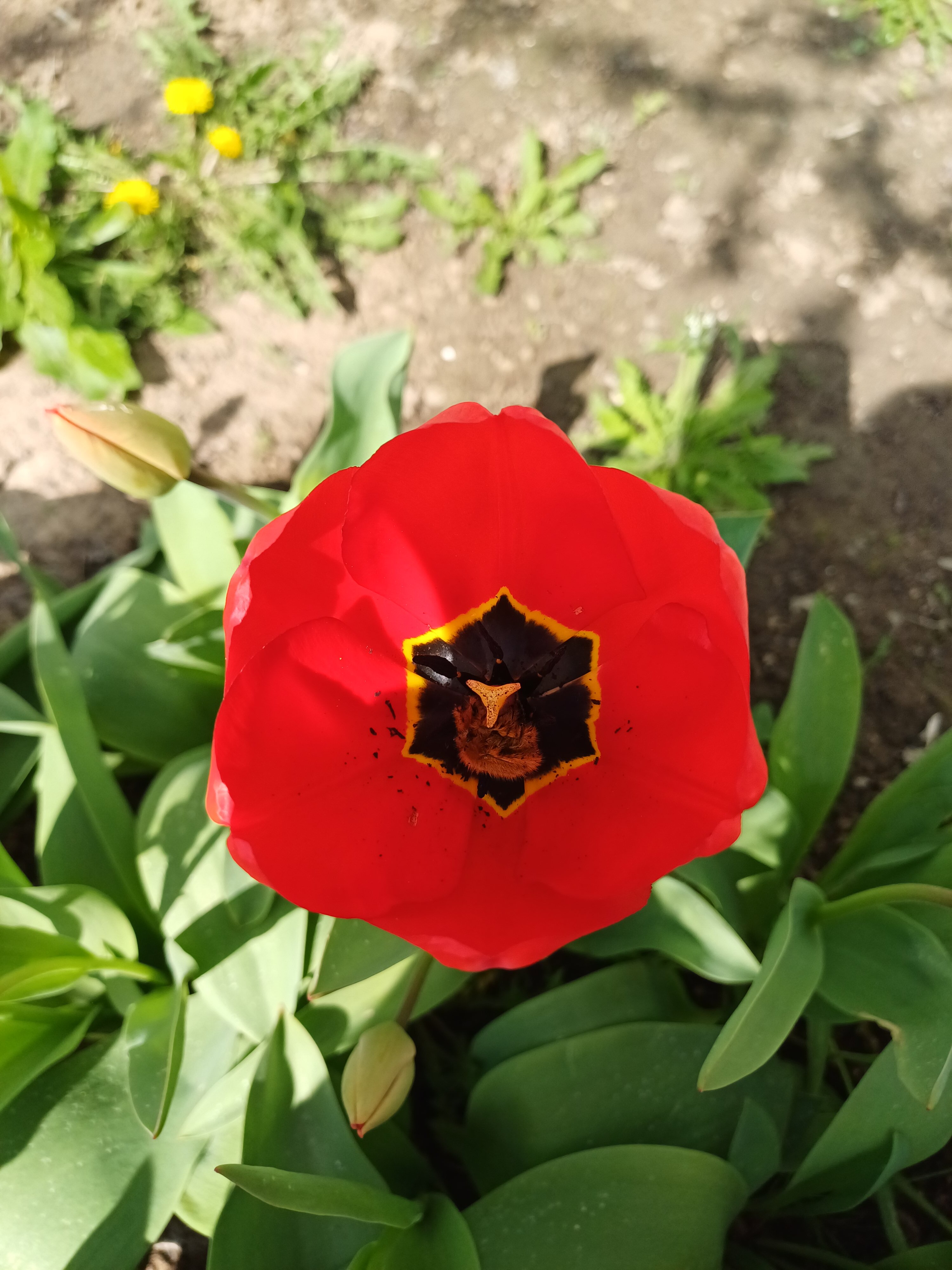 Фото Фазенда