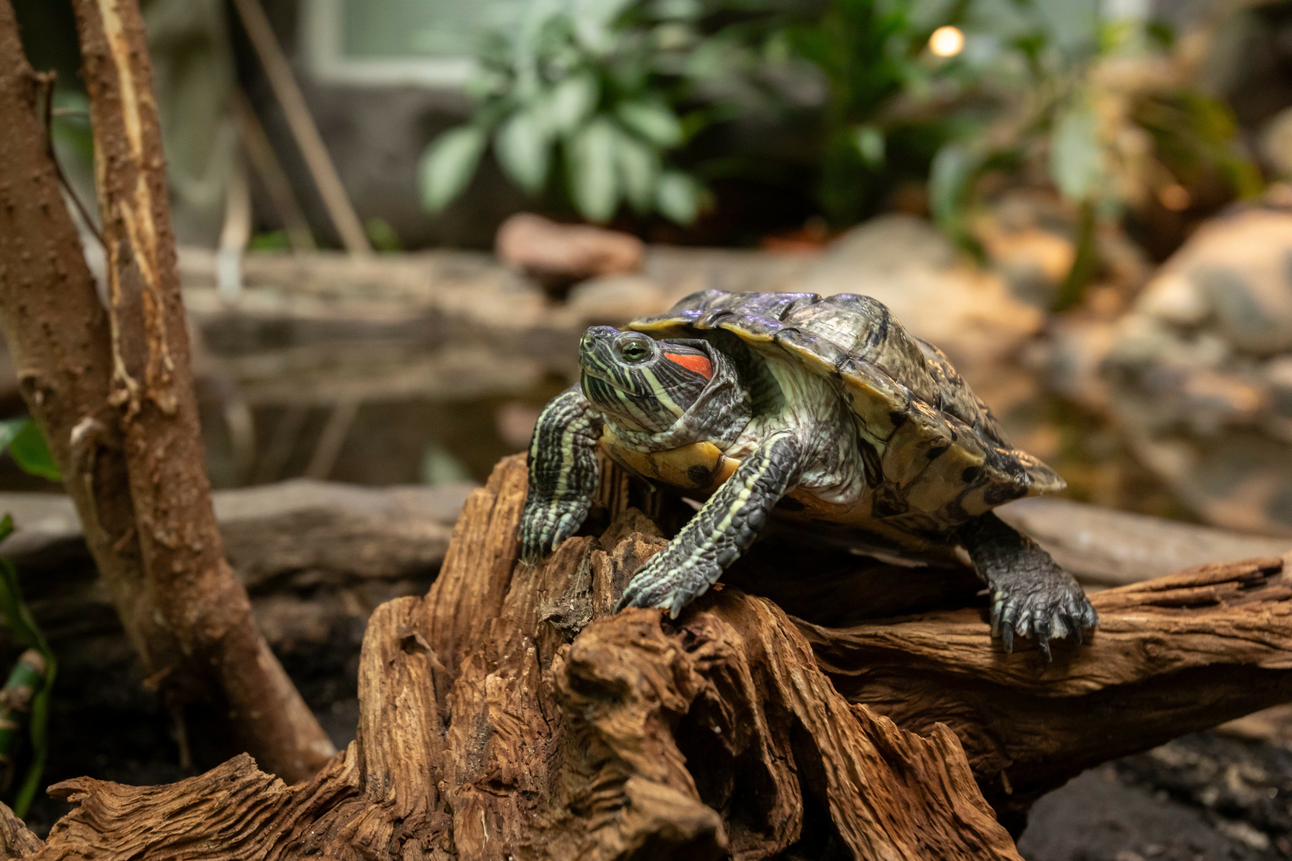 Фото Сретенская