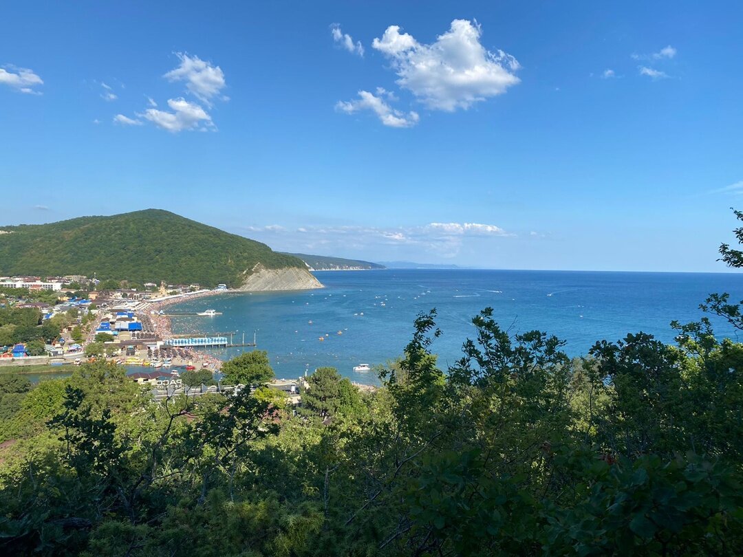 Фото Дом на поляне