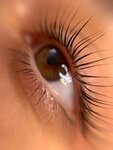 Browksu (ulitsa Chapayeva, 38), eyebrow and eyelash salon