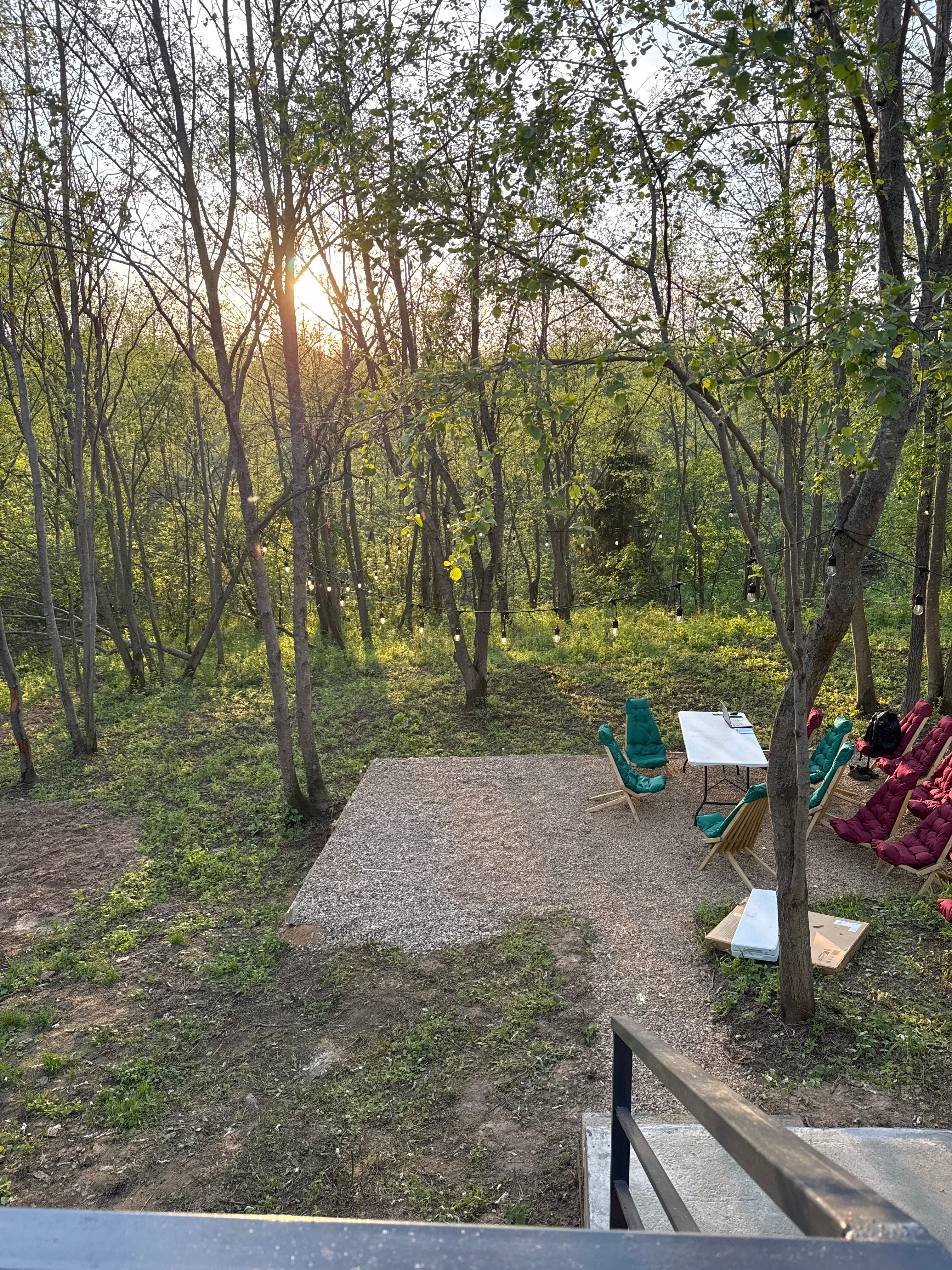 Фото My little forest