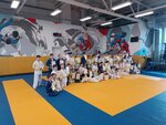 Авангард (mikrorayon Novaya Derevnya, Naberezhnaya ulitsa, 35к2), club deportivo, sección