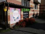 Магазин детской одежды (Voynovka Microdistrict, ulitsa Energostroiteley, 22), children's clothing store