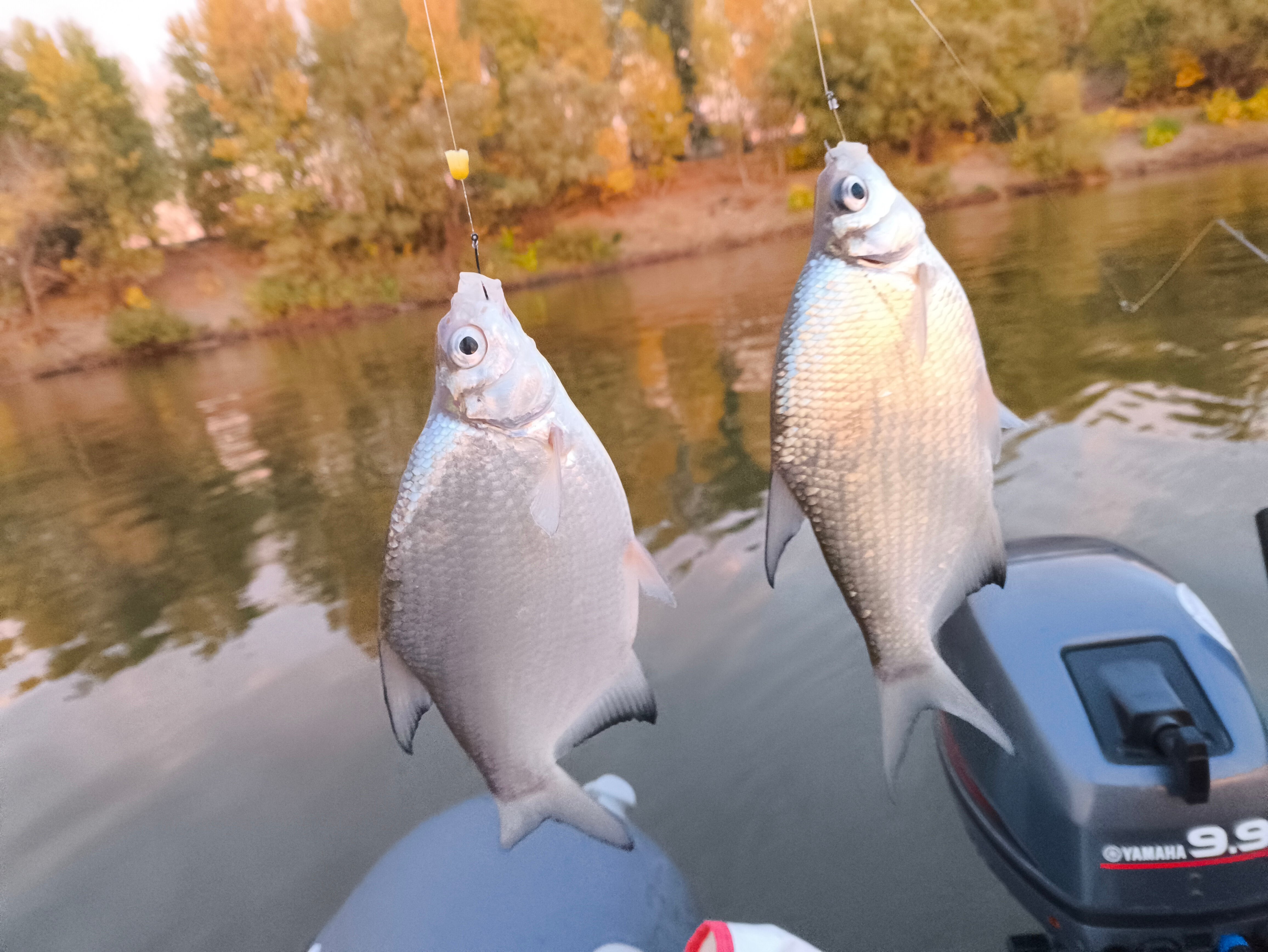 Фото Поплавок