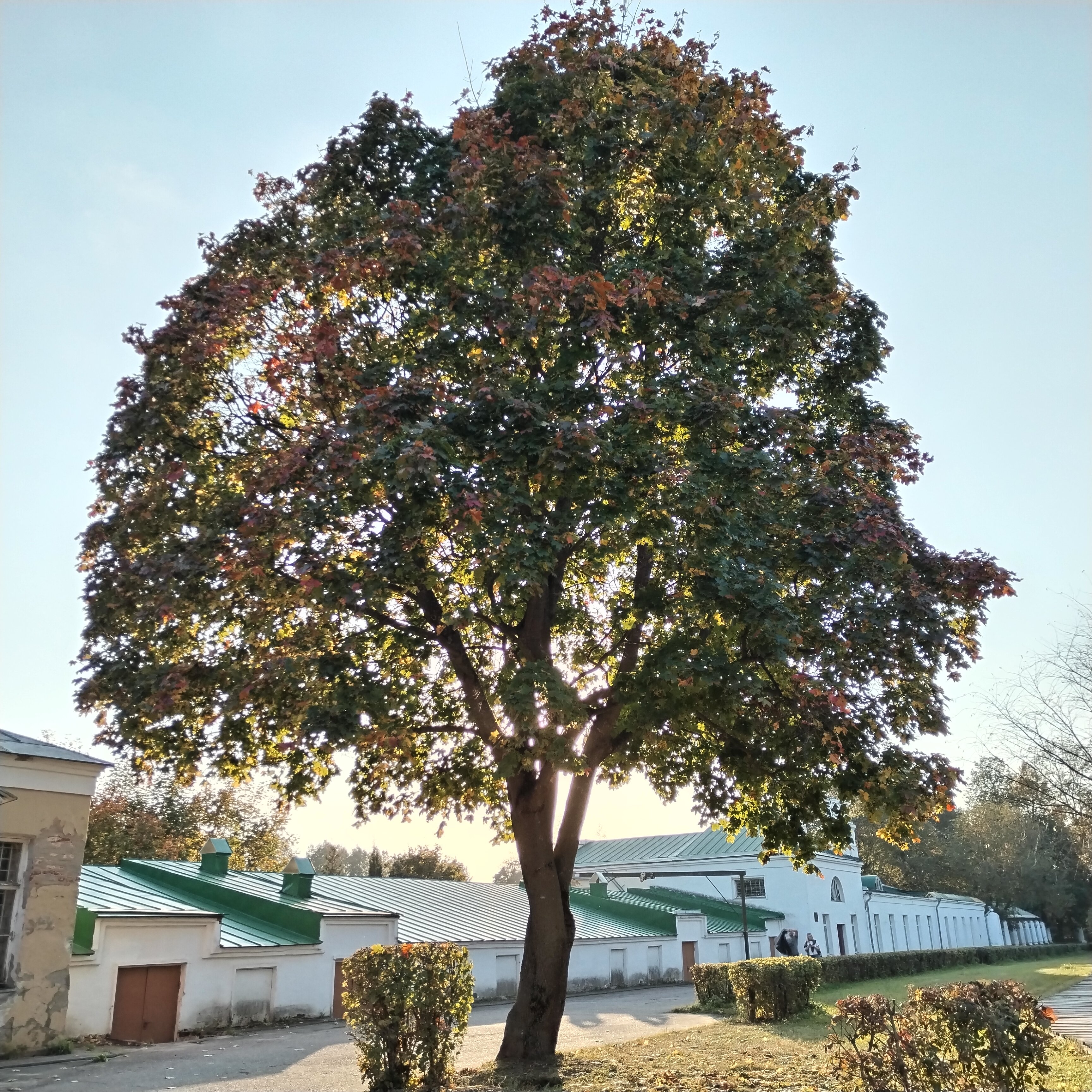 Фото Усадьба Горки