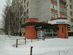 Академ клуб (ulitsa Chekhova, 3), children's developmental center