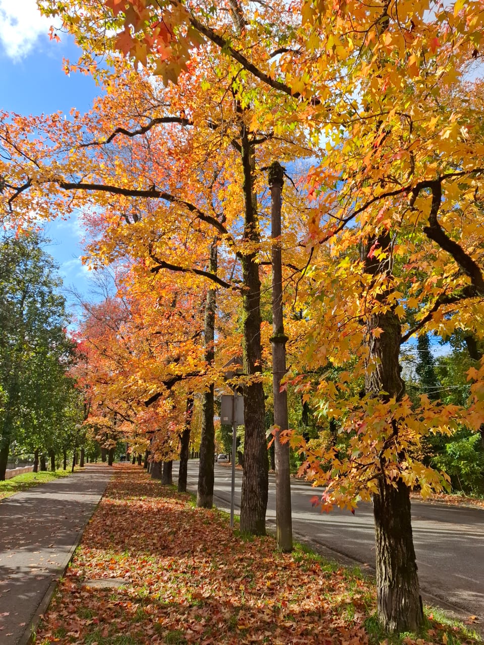 Фото Мацеста Береговая