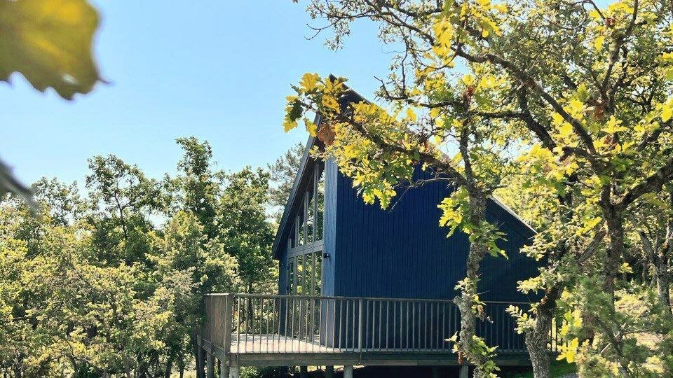 Фото Домики в лесу Шули